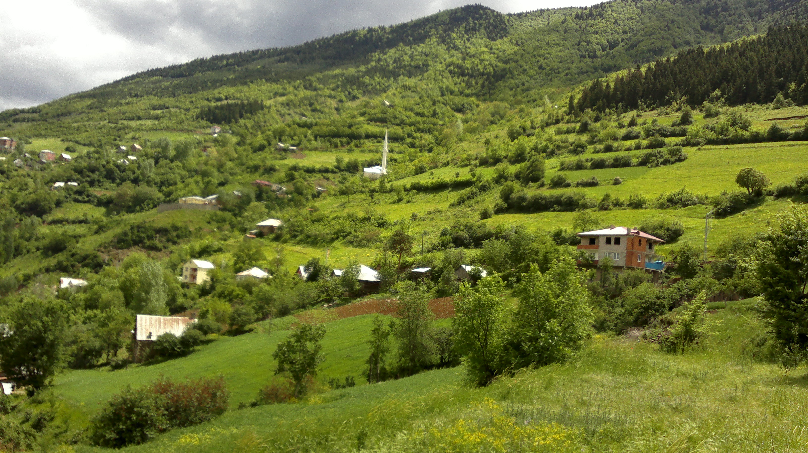 Tarihi ve Doğası İle Gümüşhane